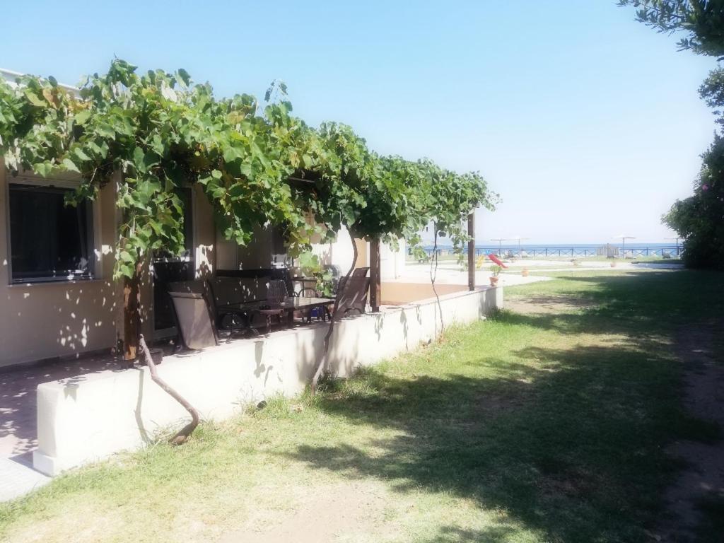 Mirini • Ancient Stagira Apts • Chalkidiki Olympiada Eksteriør billede